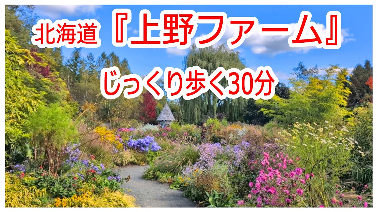 【ガーデナー必見】秋の上野ファーム（北海道旭川市）をじっくり歩く30分 │苗売り場から秋の植栽まで