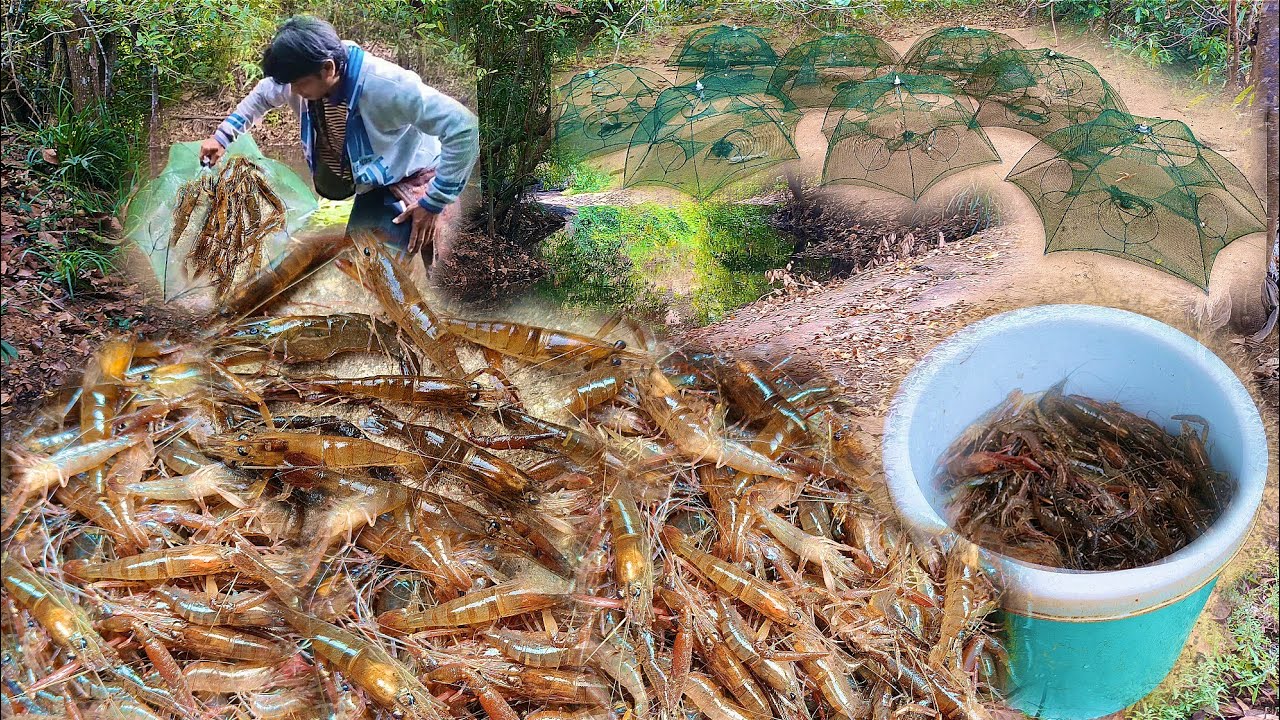 เปลี่ยนบรรยากาศมาใส่ตุ้มกุ้งมื้อนี่หมานกุ้งก้ามโตใหญ่ๆคือเก่าครับ4/กพ/69