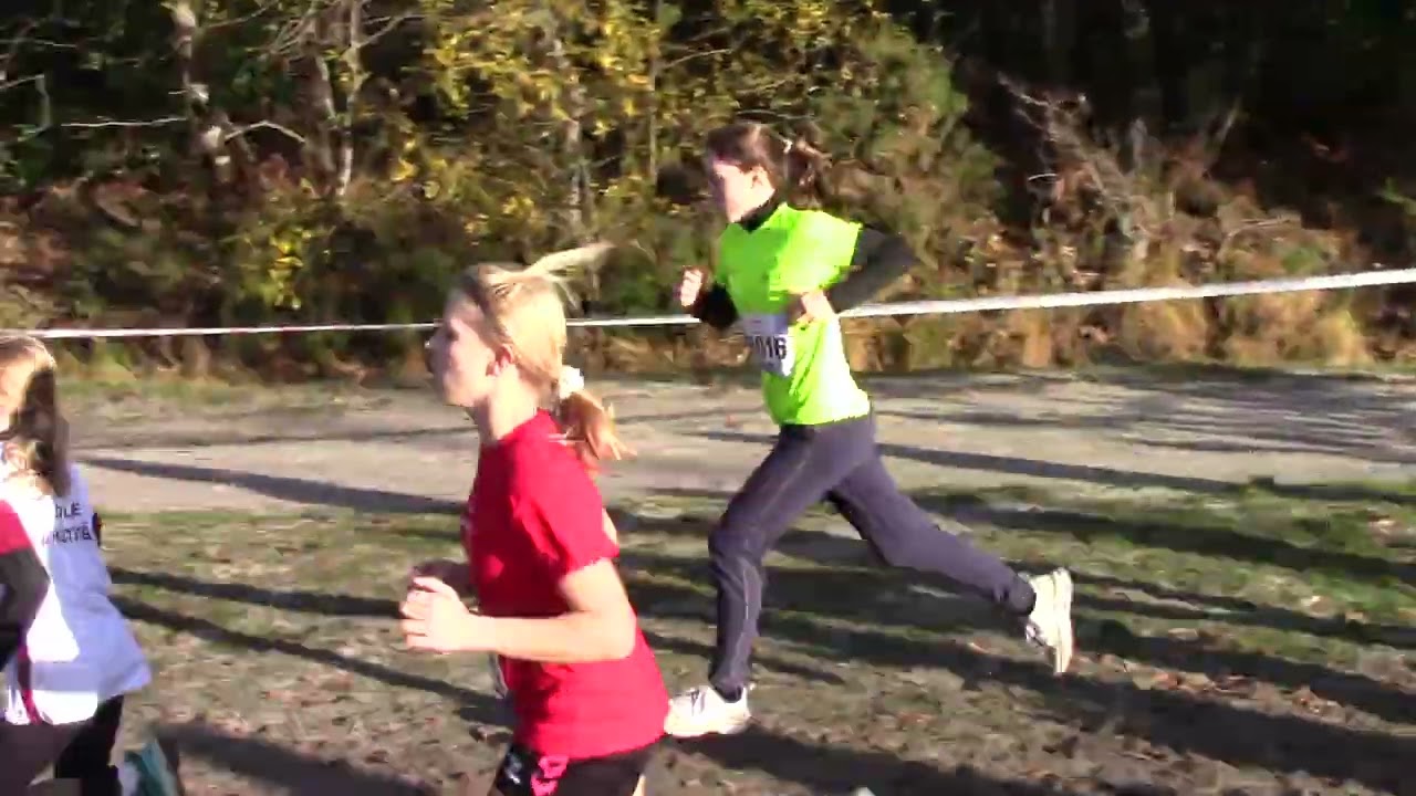 Cross de Gujan, Benjamines, poussins et EA (BEF, PO, EA)