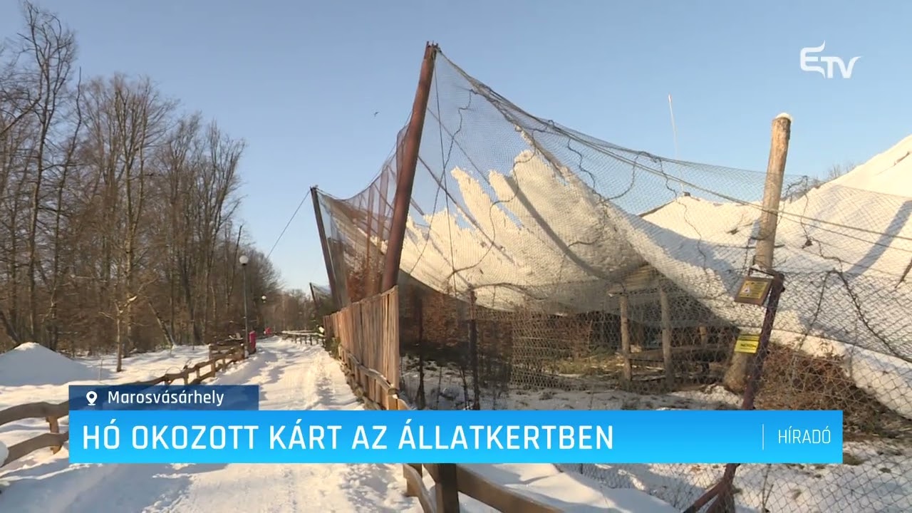 Hó okozott kárt az állatkertben – Erdély TV