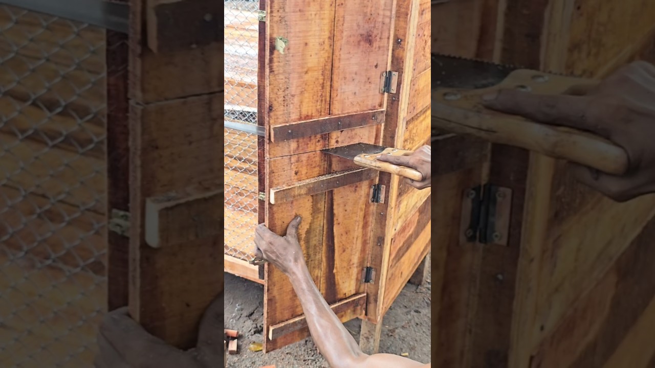 Cut one door and make two #pigeon #kalapati #حمامة #कबूतर #pigeonlover #woodwork #pet