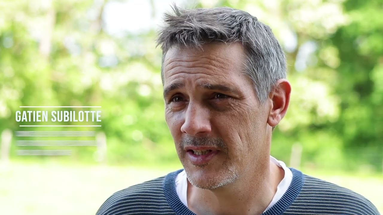 La contention des Bovins