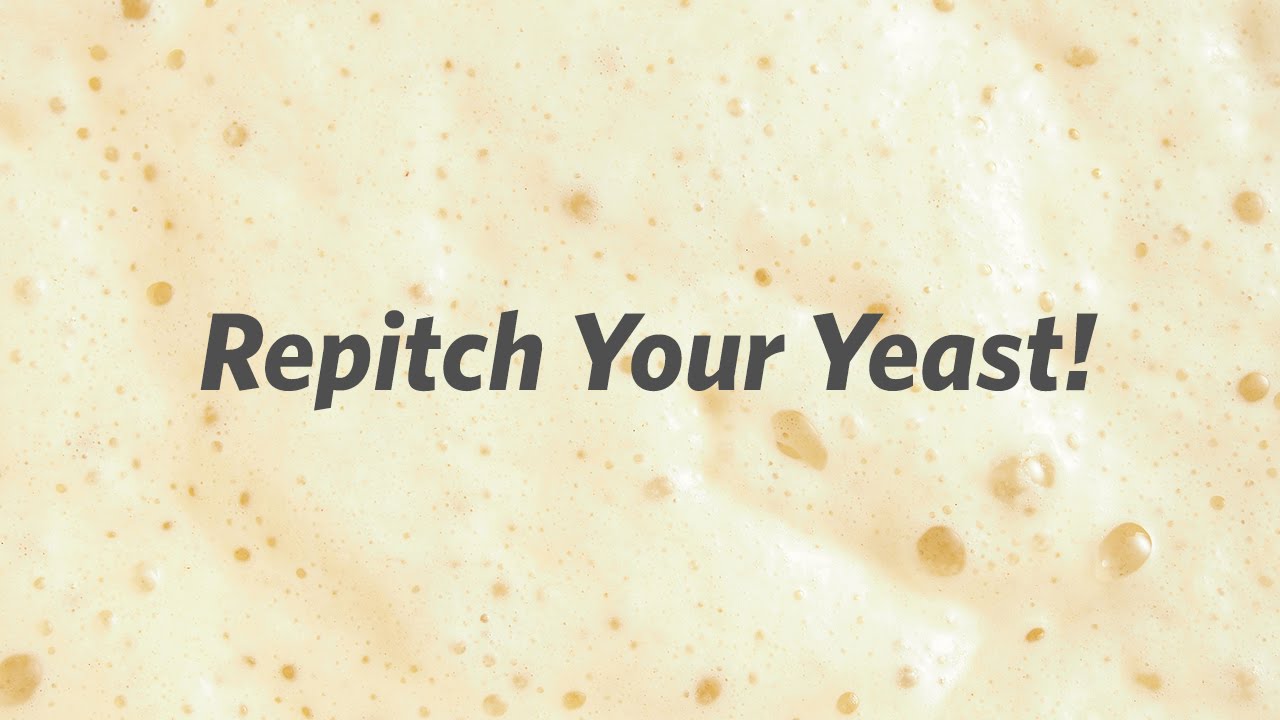 Repitch Your Yeast - Craft Brewing&trade;