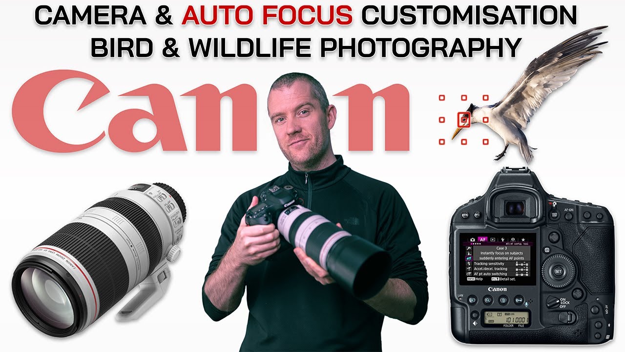 Увеличьте количество попаданий с помощью настройки автофокуса Canon | Настройки для съёмки дикой ...