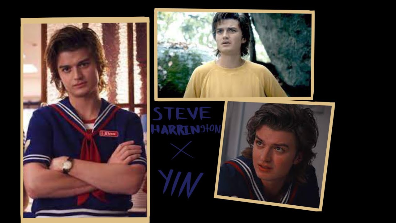 Steve Harrigton x y/n ll Stranger Things POVs