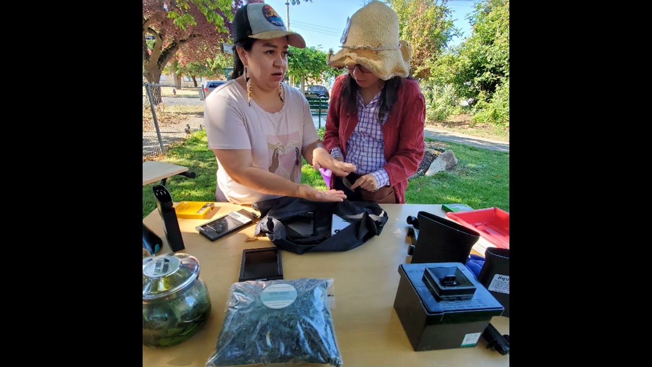 Indigo & Plant-Based Materials Analogue Photo Film Developing Workshop