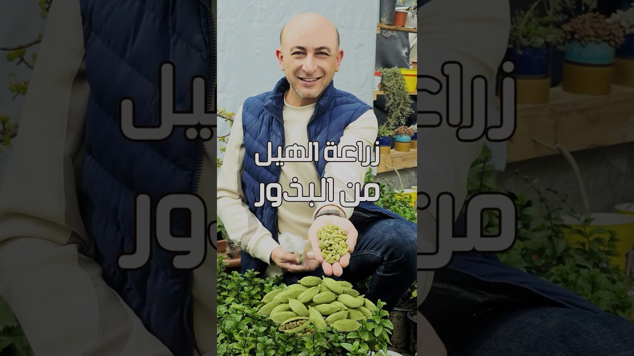 زراعة الهيل من البذور #cardamom #الهيل