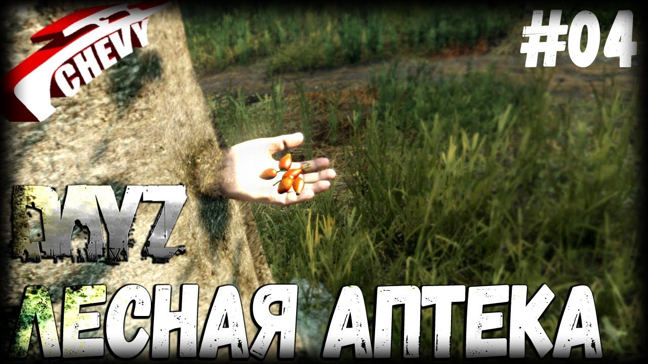 DayZ - ЛЕСНАЯ АПТЕКА (выживание 04)