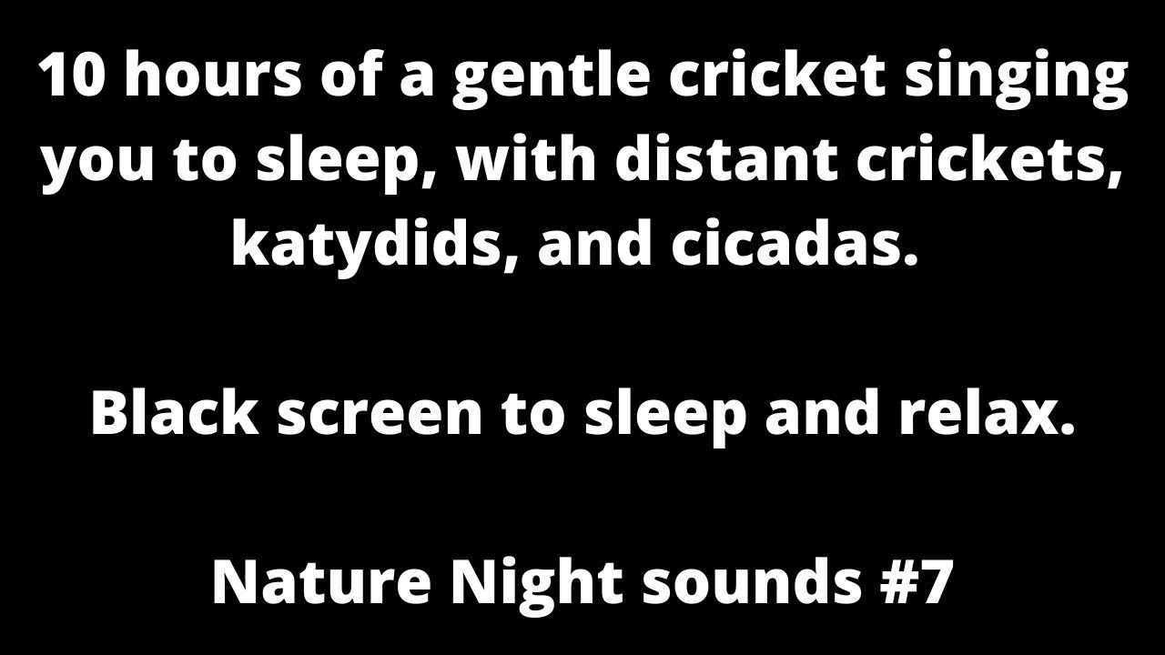 Cricket sings with distant crickets katydids cricket sounds sleep sounds black screen to sleep relax