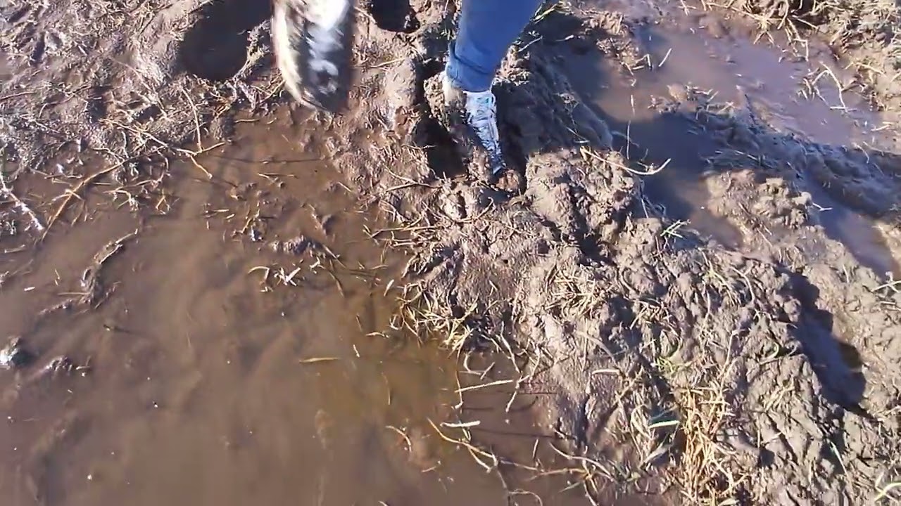 muddy adidas SS and skinny jeans