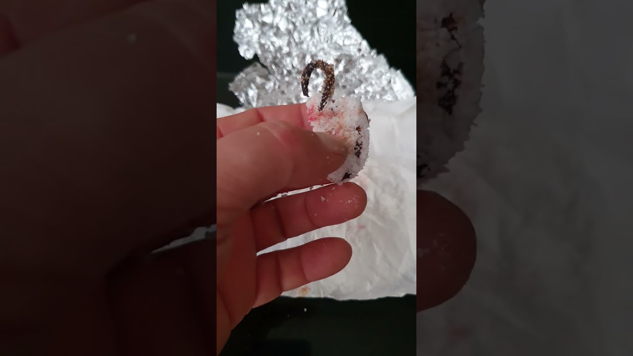 SURFCASTING INVENTO LOMBRIZ CATALANA CONGELADA.