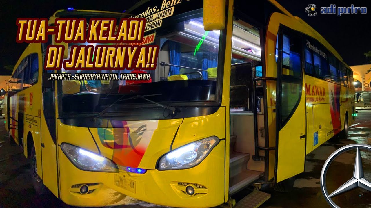 JALAN #1 | SALAM KENAL MAWAR‼️ | Edann‼️ Ternyata Tua-Tua Keladi Di Jalur Transjawa (M03)