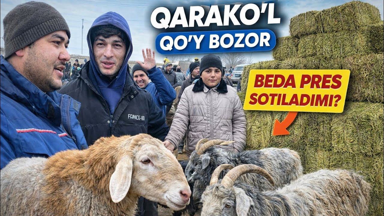 QO’Y BOZOR 