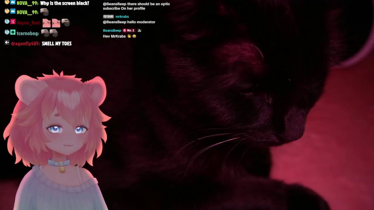 vtuber мягкий ASMR 💤 в прямом эфире