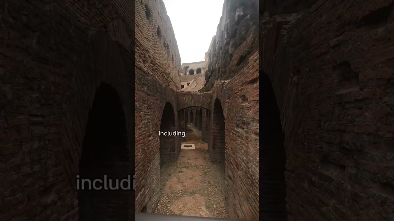 Secret Underground Tour of the Roman Colosseum #italy #travel #travelvlog