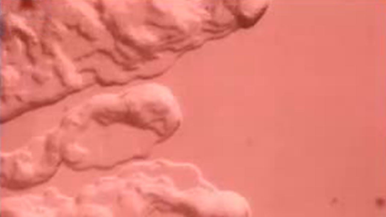 Amazing Survival of Micro Organisms | We Are the Aliens | BBC Studios