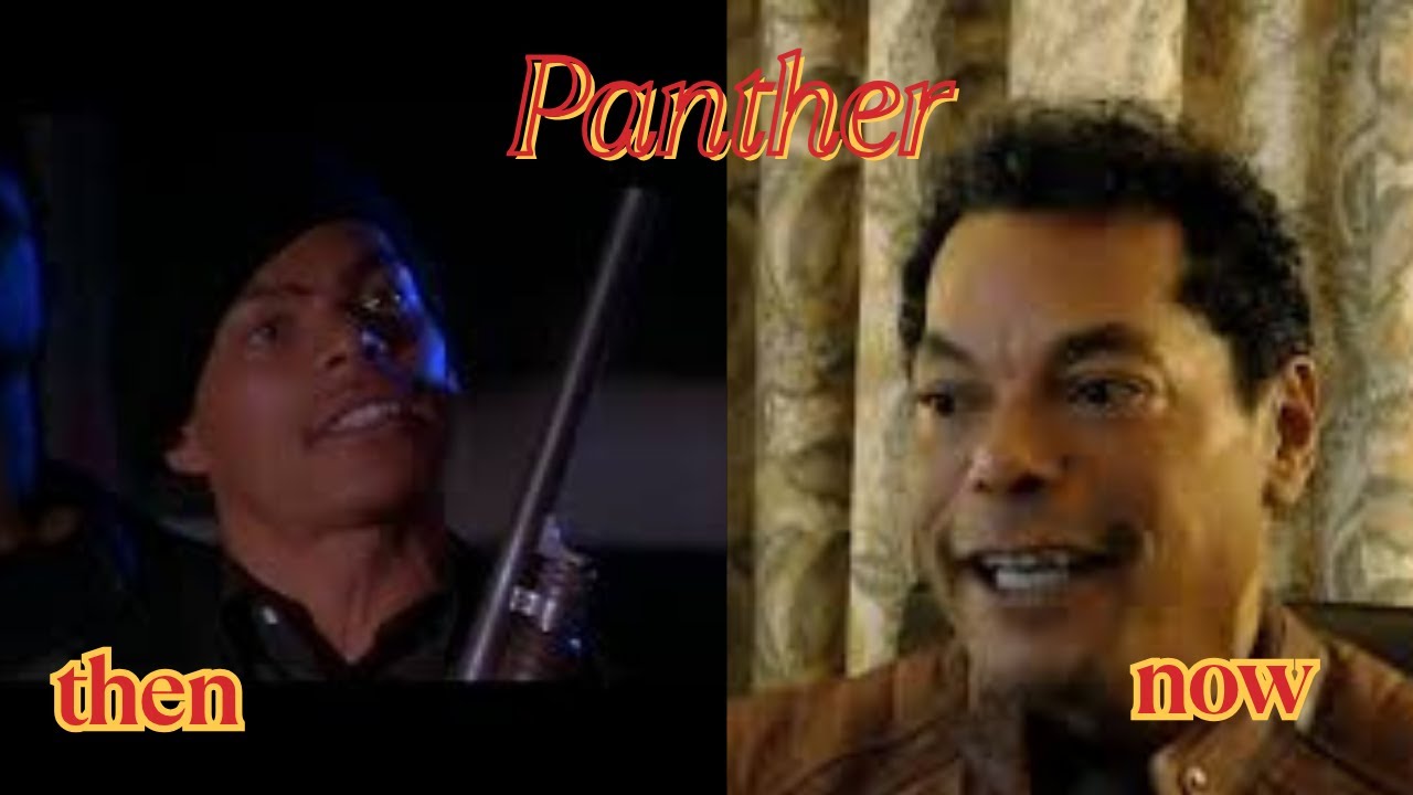 Then vs Now: Panther (1995)