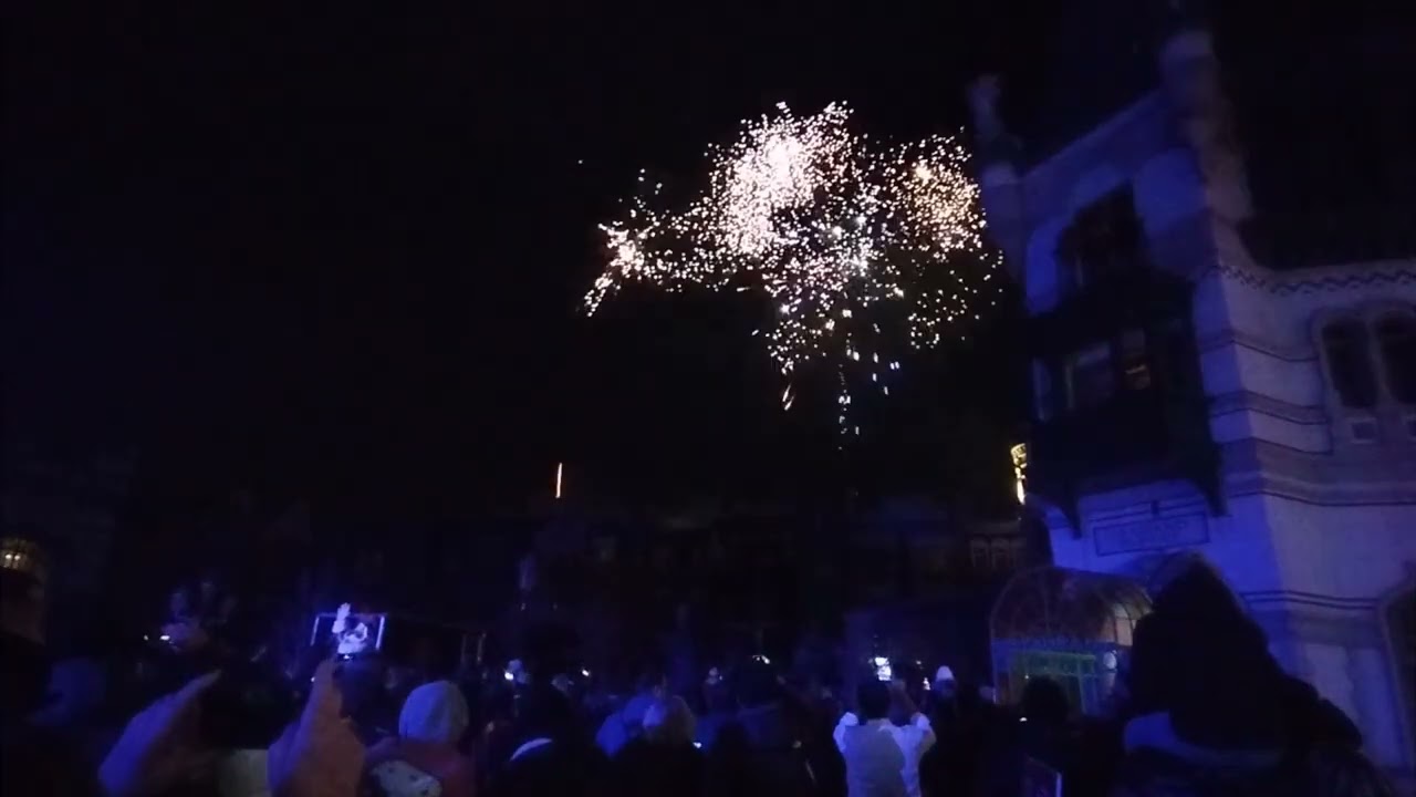 het nieuwjaarvuurwerk in plopsaland
