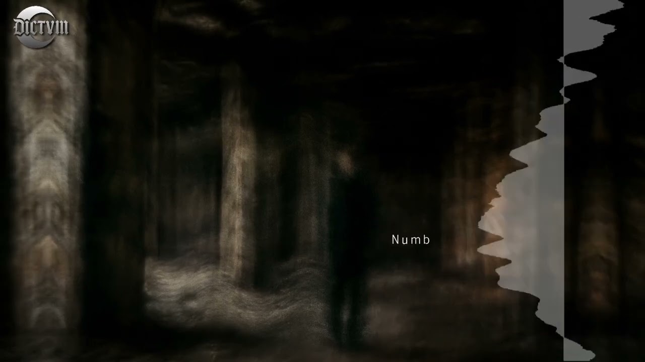 DICTVM - Numb
