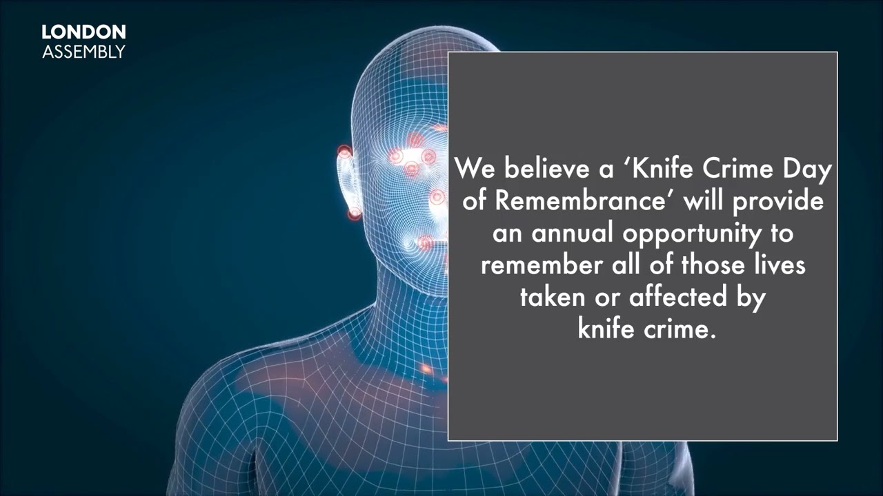 Motion 4 - Victims of knife crime