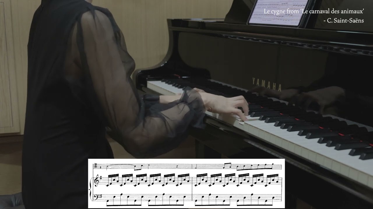 The Swan (Le cygne) from Le carnaval des animaux- C. Saint-Saëns /Piano accompaniment/피아노반주/karaoke