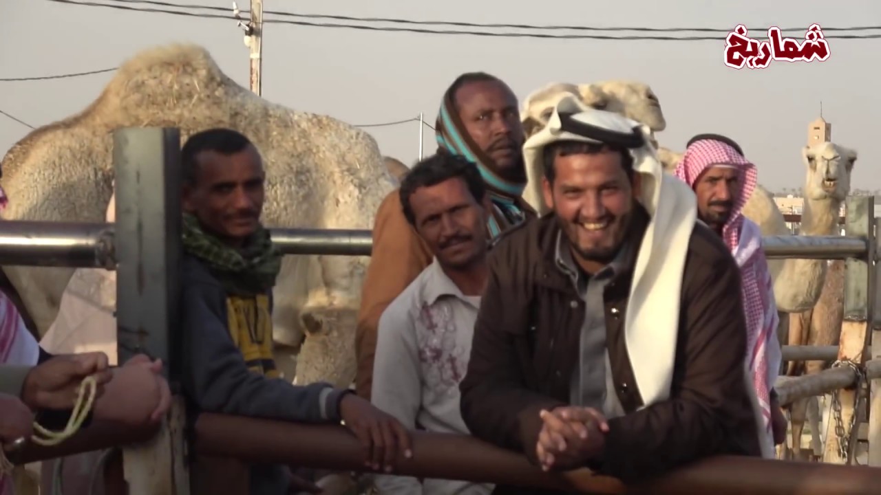 حراج الإبل في عنيزة الجمعة 14/ 4 / 1440هـ ( الجزء الأول )