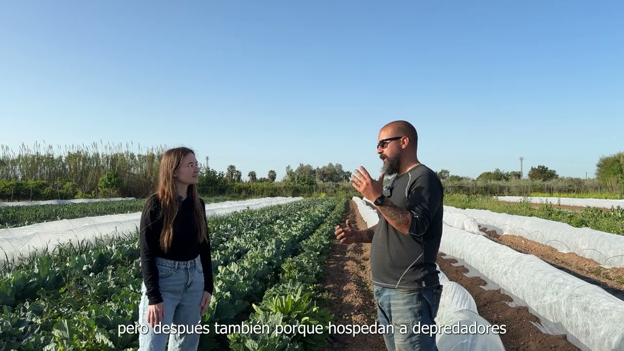 Entrevista a empresa de agricultura agroecológica (Ecograu) ¿Qué es la agroecología? ¿Es viable?