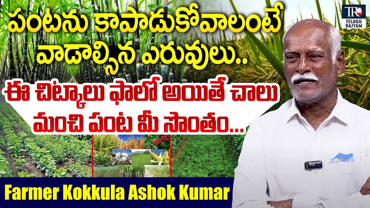 Farmer Kokkula Ashok Kumar About Natural Farming | Agriculture | Organic Fertilizers | Telugu Rajyam