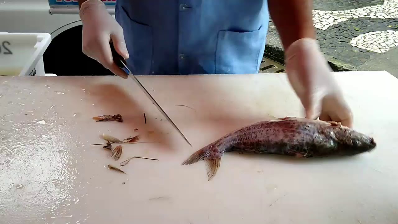 LIMPANDO O PEIXE MANDI FRESCO.