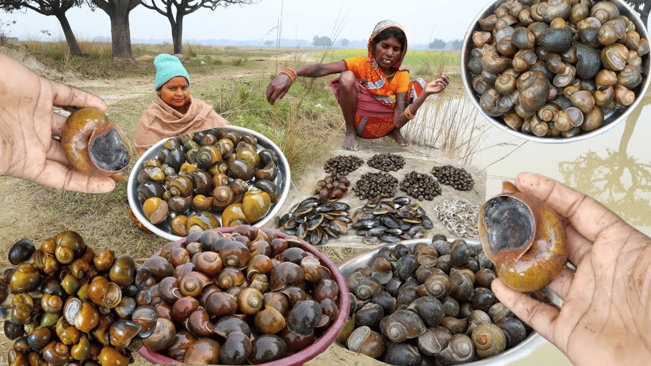 Snail Cooking & Eating Healthy Snail | Cooking Indian Snails in Village ghonga kaise banaye घोघा