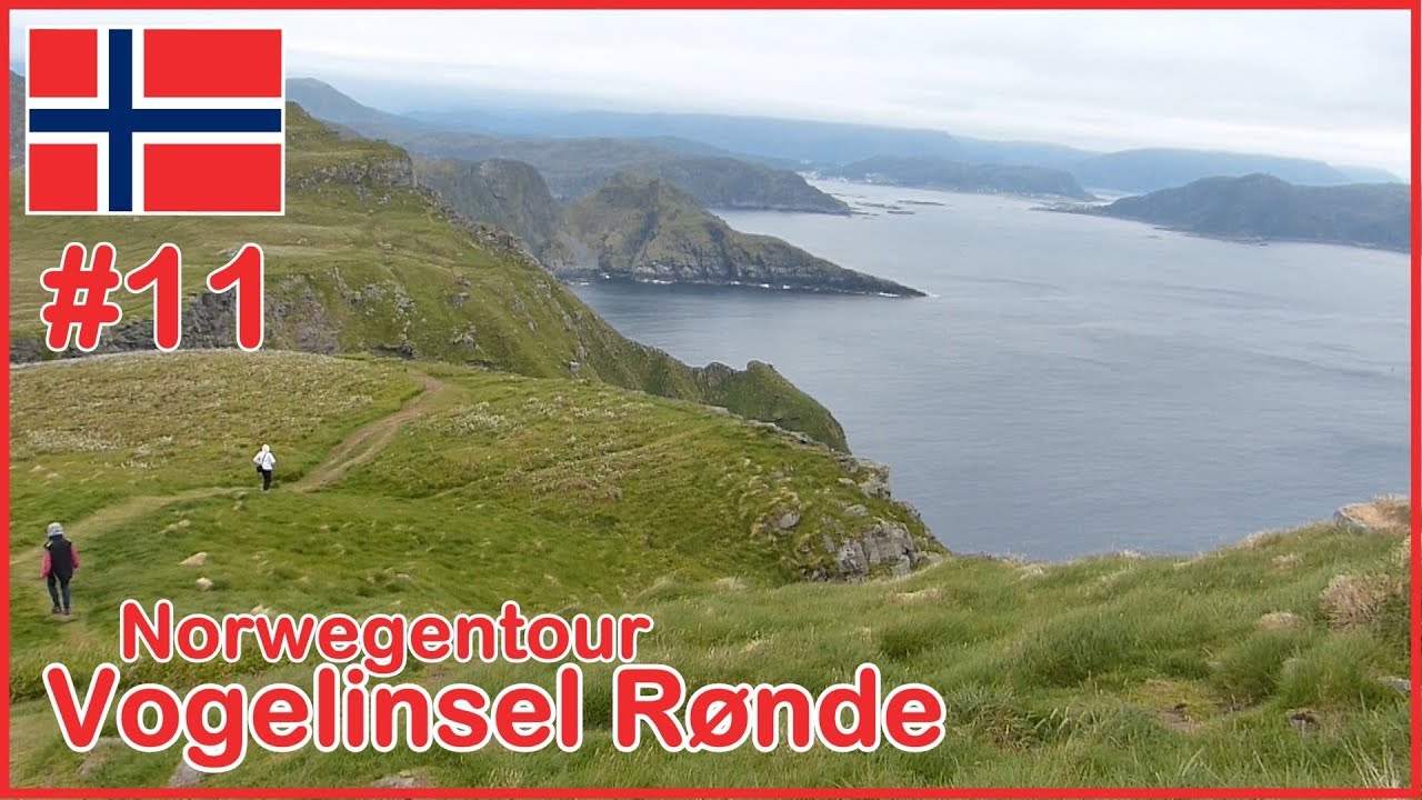 Norwegen Vogelinsel Runde Inselspaziergang Bootsfahrt Papageitaucher nicht gesichtet