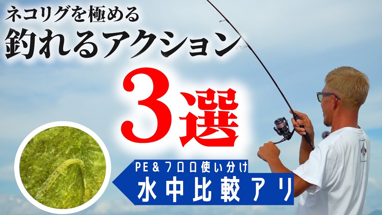 【バス釣り】水中映像で比較！釣れるPE＆フロロネコリグアクション3選