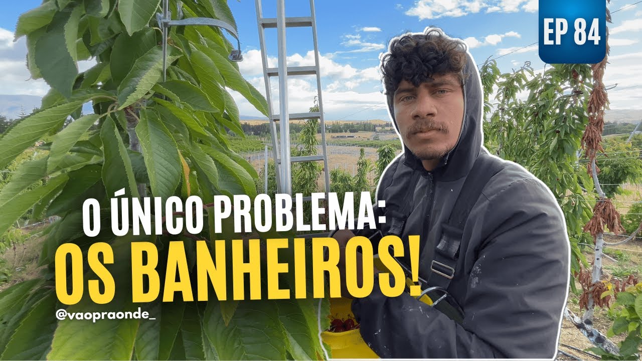 NINGUÉM CONTA ISSO SOBRE TRABALHAR COLHENDO CEREJAS NA NZ