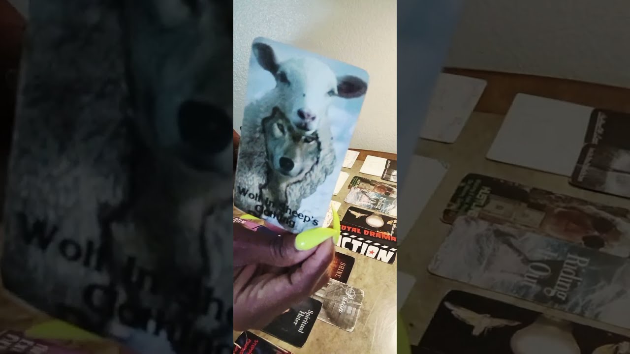 Коррумпированный судья/🚔👮‍♂️предстоит вынесение приговора за содействие в организации преступной ...