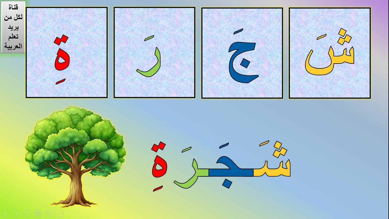 قراءة كلمات بالحركات الثلاث | تعليم قراءة الكلمات بالضمة والفتحة والكسرة | تعلم القراءة بالحركات