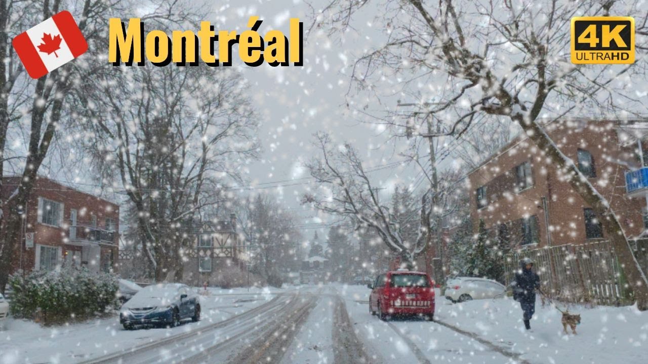 [4K] Heavy Snow Day in Montreal❄️❄️❄️ | Snowy Drive in Côte Saint-Luc #snow #snowfall #montreal