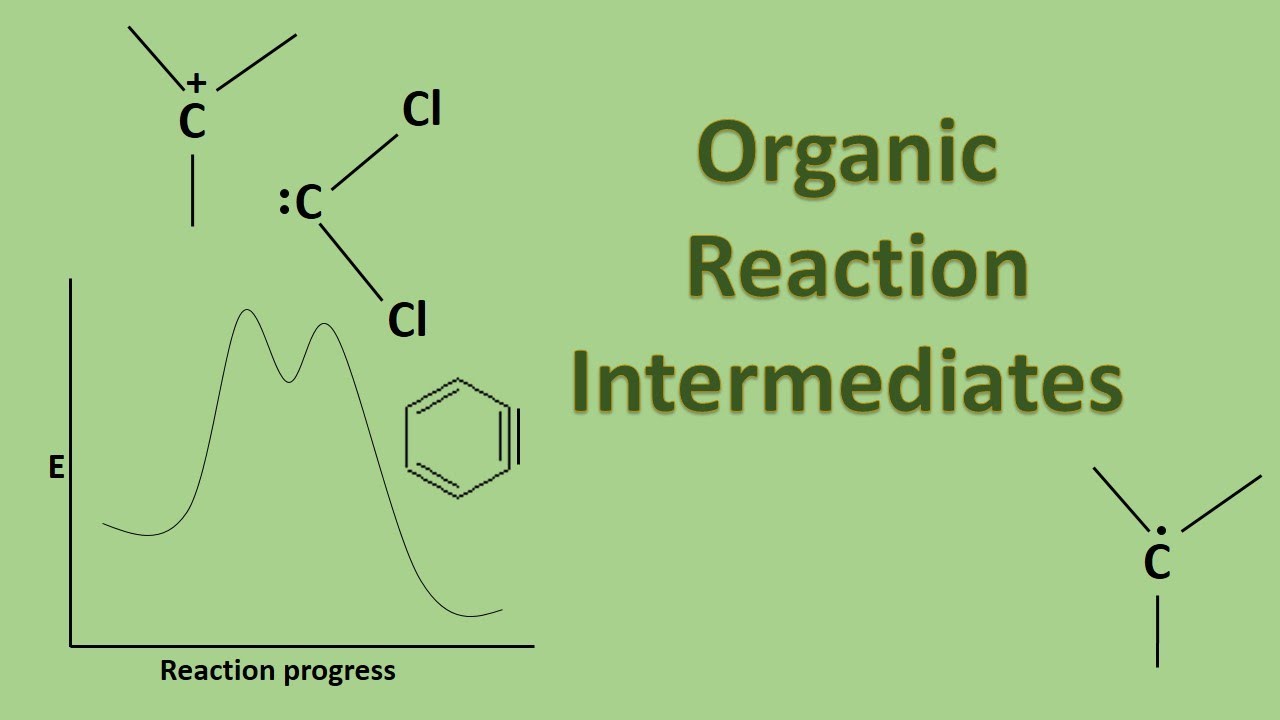 Organic Reaction Intermediates