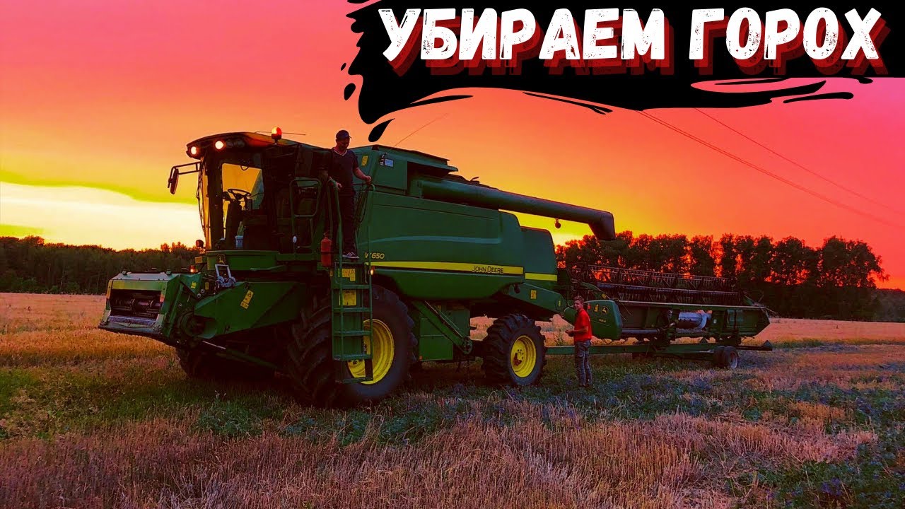 Уборочная 2021! Переехали на горох и тут понеслась...