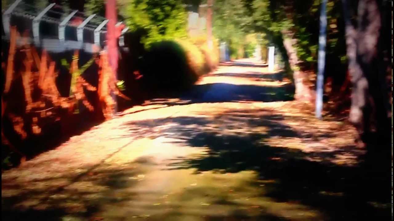 first shot  boke trail USE