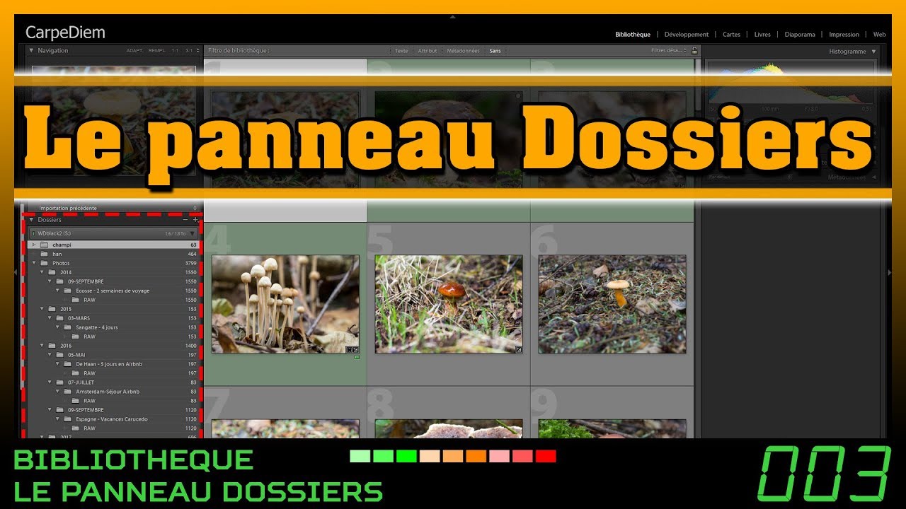 Lightroom : Le panneau dossiers