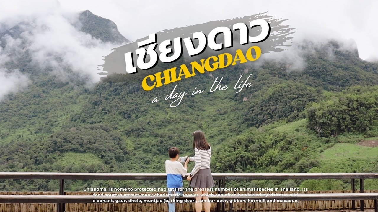 VLOG กิน เที่ยวบ้านนาเลาใหม่ อำเภอเชียงดาว จังหวัดเชียงใหม่ A DAY IN THE LIFE