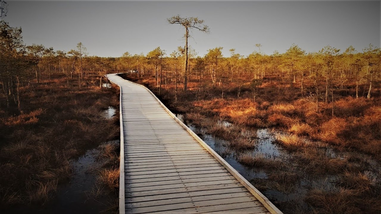 Meenikunno raba - Estonian bog spring 2017 (Drone Footage) [4K]