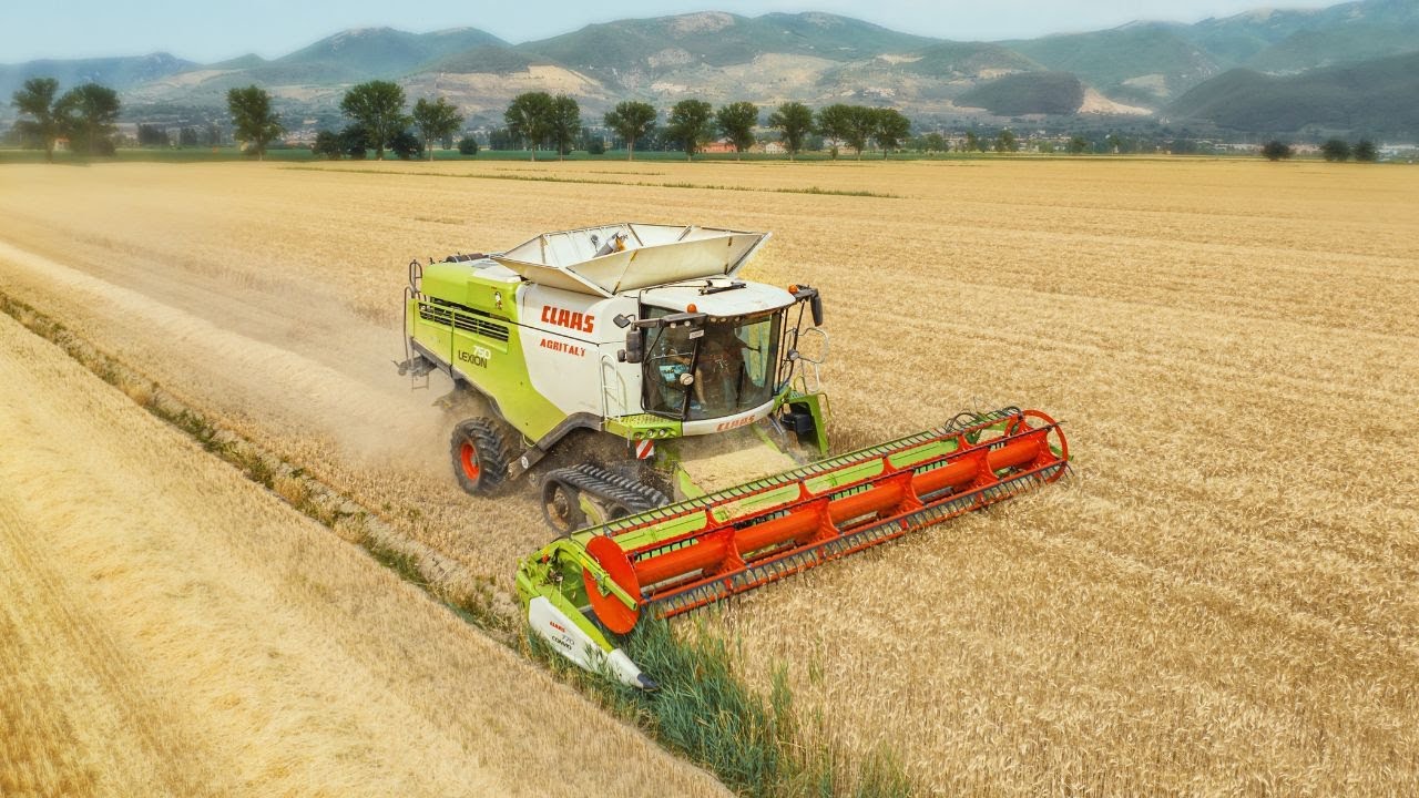 Claas Lexion 750 TerraTrac & Claas Convio Flex 770 | Trebbiatura Grano 2022 | 4K wheat harvest