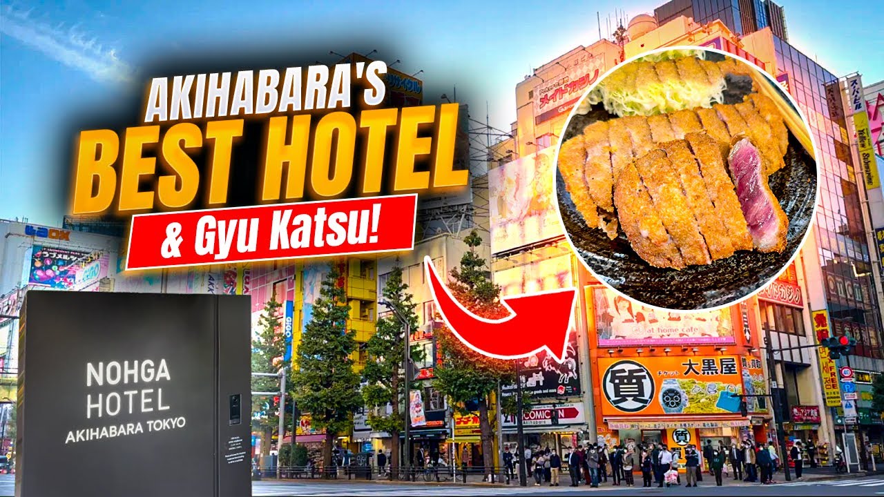 Tokyo Adventure: Best Gyukatsu and Hotel in Akihabara