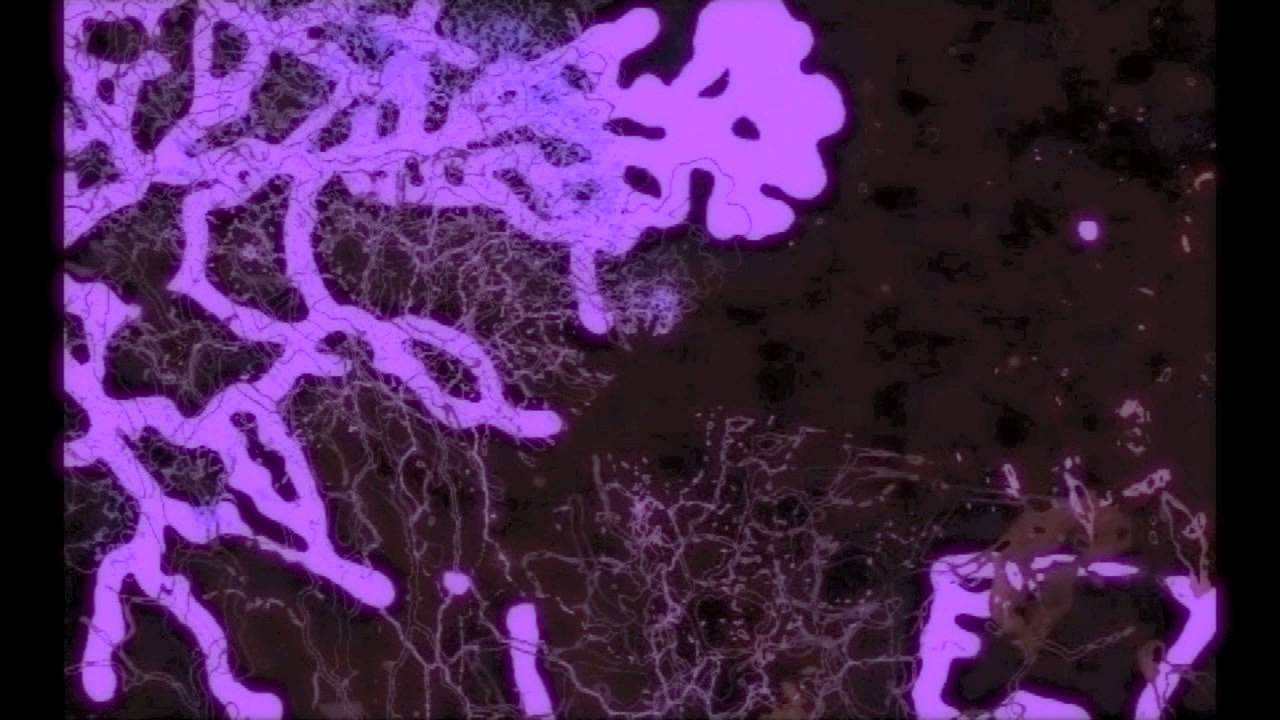 Evil Fungal Overture - Fungus Art by Pete Spofford