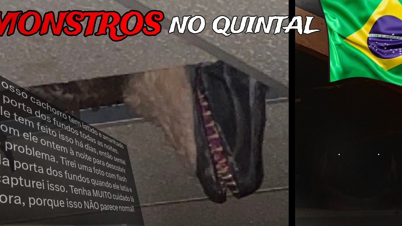 WEIRD BIRDS - HISTÓRIA COMPLETA (NARRAÇÃO DO ARG)