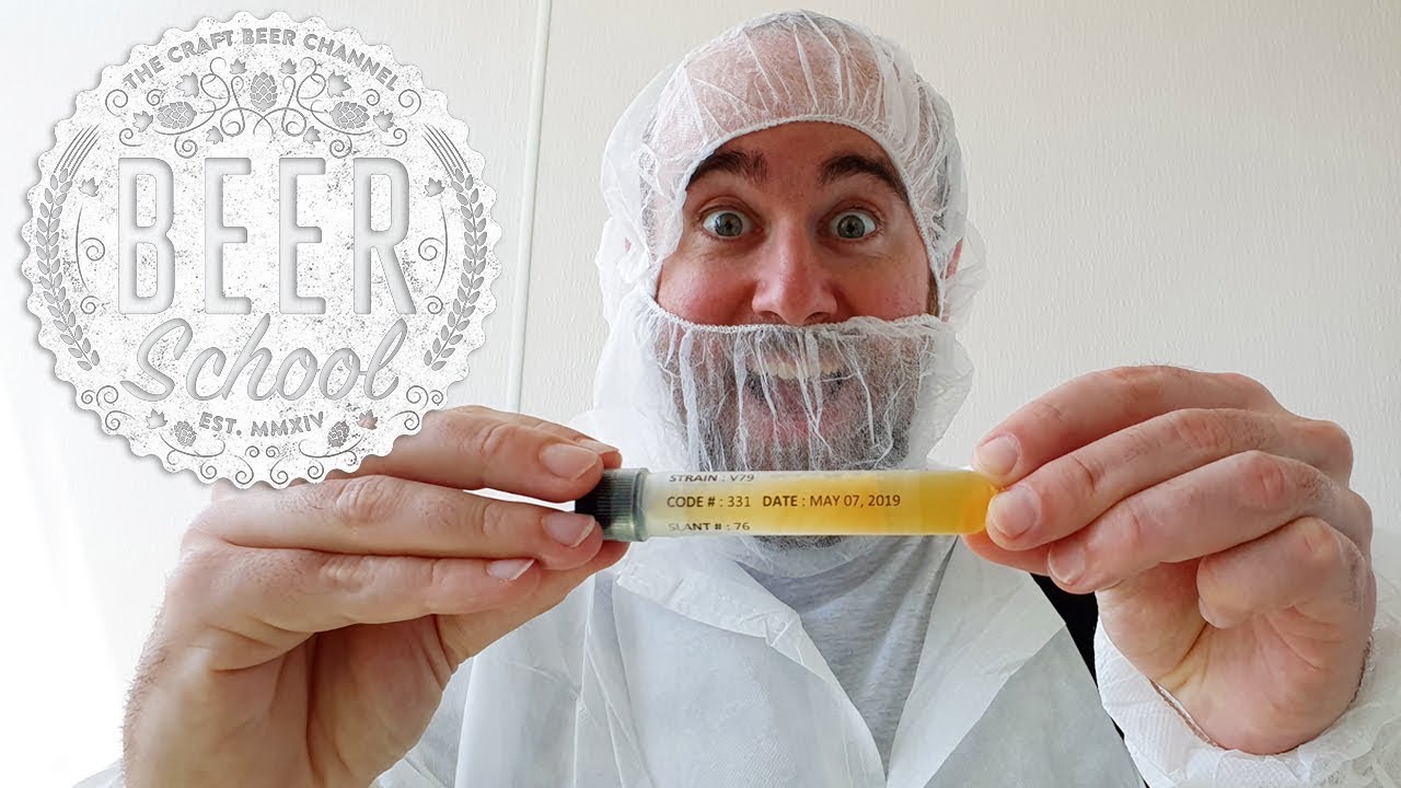 Beer School: what is yeast? | The Craft Beer Channel