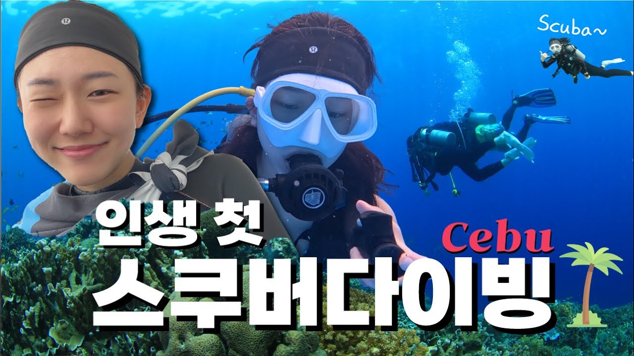 Cebu | 세부여행에서 인생 첫 스쿠버다이빙에 도전하다🤿 | 세부 뉴그랑블루 | 다시 찾은 힐루뚱안 포인트🐠🪸