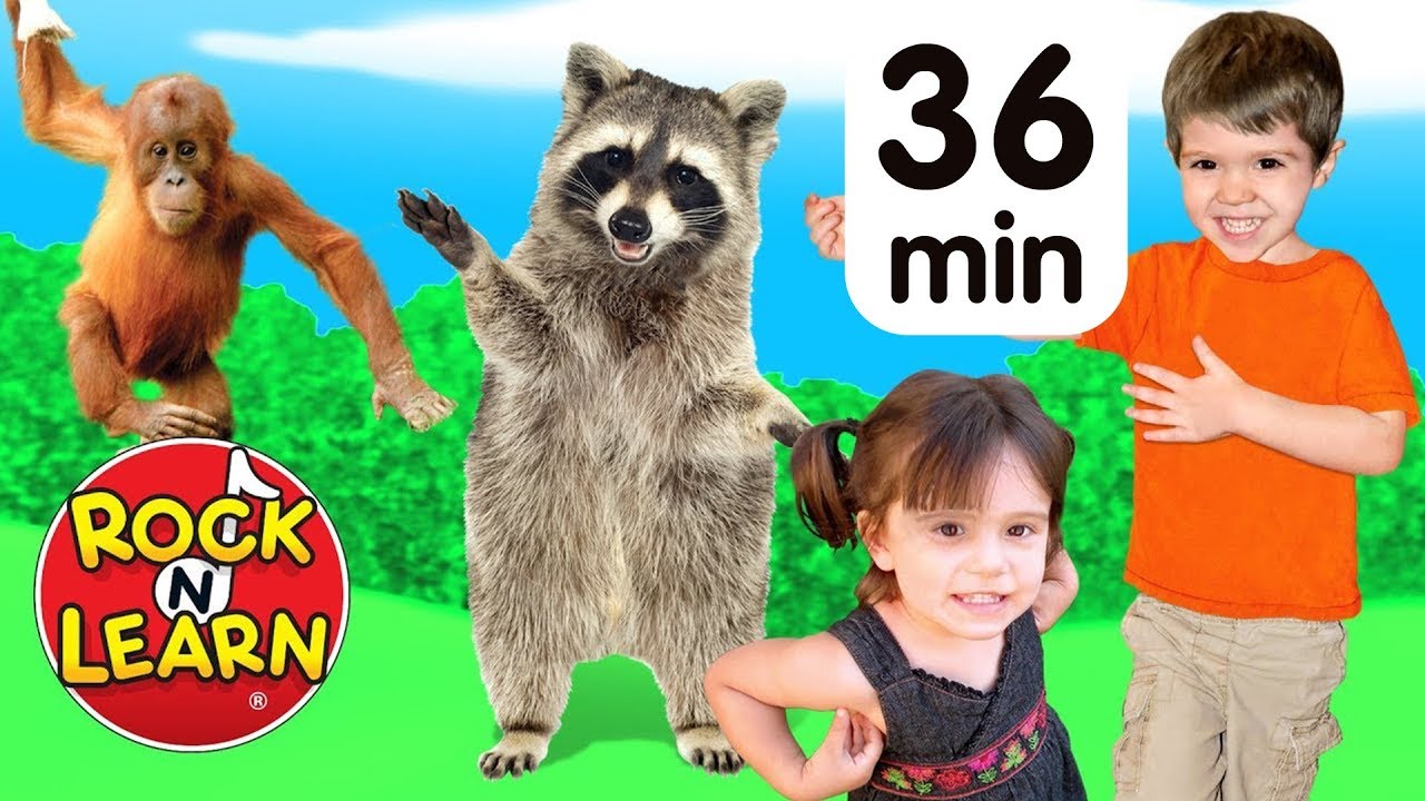 Dance With the Animals