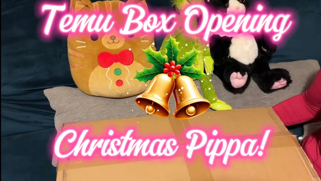 Распаковка рождественской коробки Temu Christmas Pippa 🎄 | Безопасное преображение волос для мале...